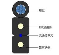 自承式接入网用蝶形引入光缆GJXFCH